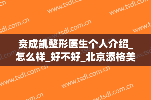 贲成凯整形医生个人介绍_怎么样_好不好_北京添格美医疗美容门诊部