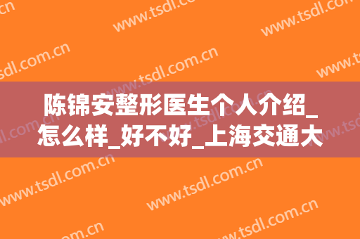 陈锦安整形医生个人介绍_怎么样_好不好_上海交通大学医学院附属第九人民医院整复外科