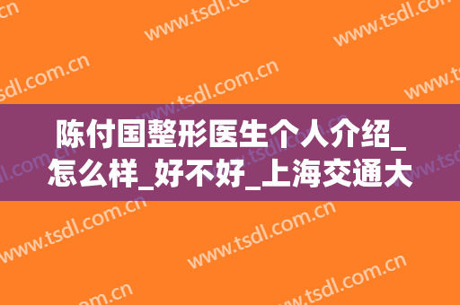 陈付国整形医生个人介绍_怎么样_好不好_上海交通大学医学院附属第九人民医院整复外科