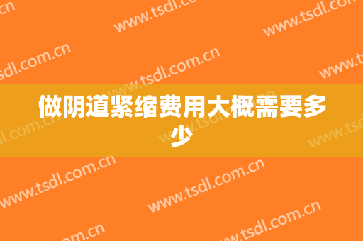 做阴道紧缩费用大概需要多少