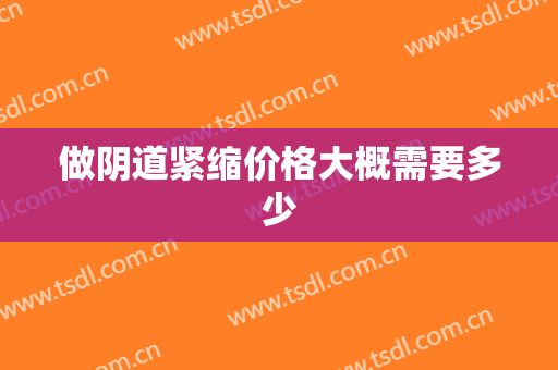 做阴道紧缩价格大概需要多少