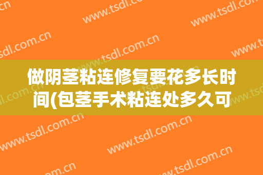 做阴茎粘连修复要花多长时间(包茎手术粘连处多久可以恢复)