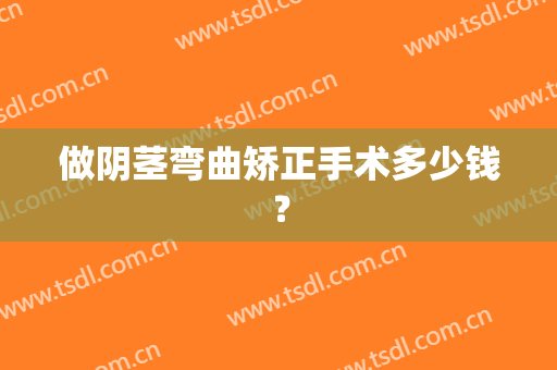 做阴茎弯曲矫正手术多少钱？