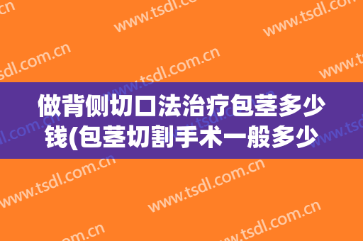 做背侧切口法治疗包茎多少钱(包茎切割手术一般多少钱)