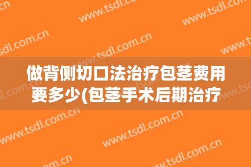 做背侧切口法治疗包茎费用要多少(包茎手术后期治疗费用)