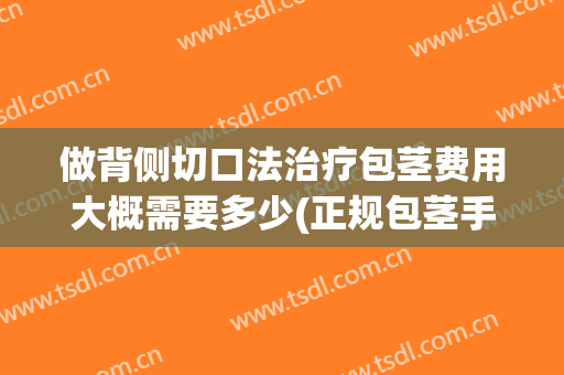 做背侧切口法治疗包茎费用大概需要多少(正规包茎手术方法)