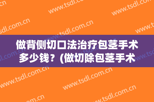 做背侧切口法治疗包茎手术多少钱？(做切除包茎手术要多少钱)