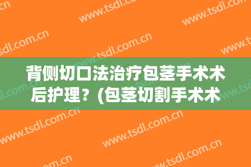 背侧切口法治疗包茎手术术后护理？(包茎切割手术术后护理)