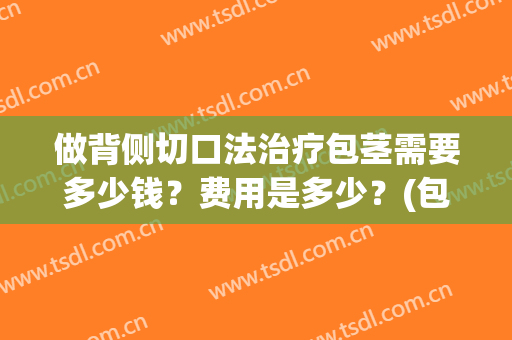 做背侧切口法治疗包茎需要多少钱？费用是多少？(包茎背侧切开术图片)