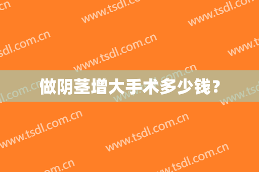 做阴茎增大手术多少钱？