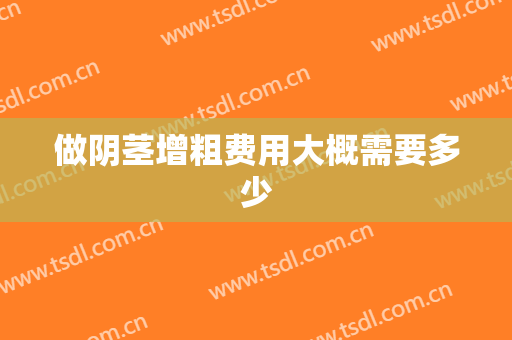 做阴茎增粗费用大概需要多少