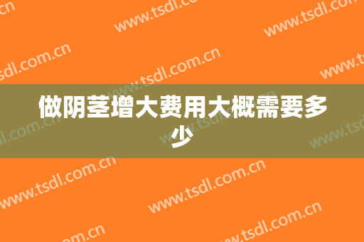 做阴茎增大费用大概需要多少