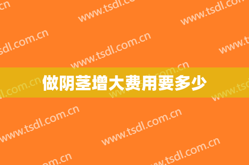 做阴茎增大费用要多少