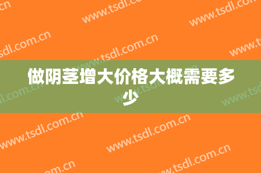 做阴茎增大价格大概需要多少