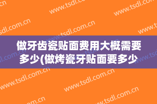 做牙齿瓷贴面费用大概需要多少(做烤瓷牙贴面要多少钱)