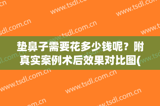 垫鼻子需要花多少钱呢？附真实案例术后效果对比图(现在垫鼻子多少钱)