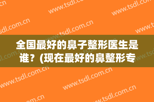 全国最好的鼻子整形医生是谁？(现在最好的鼻整形专家)