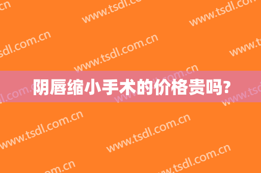 阴唇缩小手术的价格贵吗?