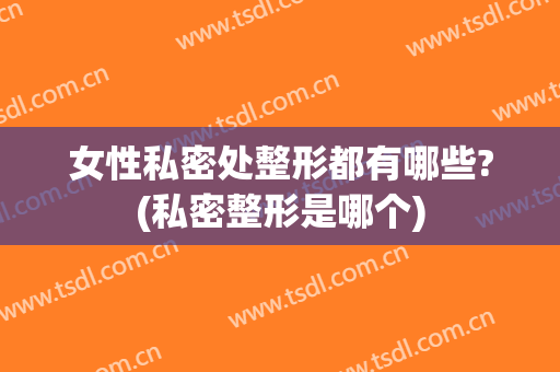 女性私密处整形都有哪些?(私密整形是哪个)