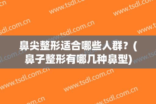 鼻尖整形适合哪些人群？(鼻子整形有哪几种鼻型)