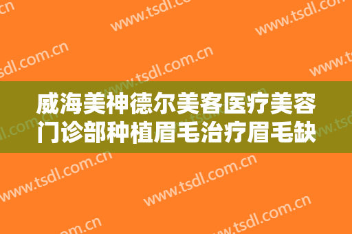 威海美神德尔美客医疗美容门诊部种植眉毛治疗眉毛缺损价钱?有哪些优势?