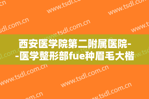 西安医学院第二附属医院--医学整形部fue种眉毛大楷需要多少钱?可靠吗?