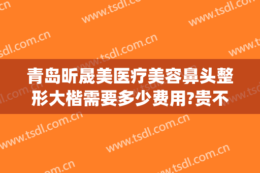 青岛昕晟美医疗美容鼻头整形大楷需要多少费用?贵不贵?(壹美整形做鼻子多少钱)