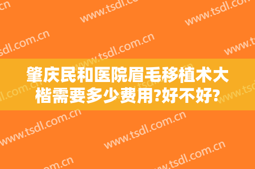 肇庆民和医院眉毛移植术大楷需要多少费用?好不好?