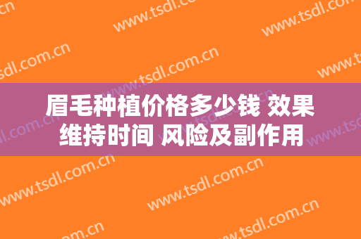 眉毛种植价格多少钱 效果维持时间 风险及副作用
