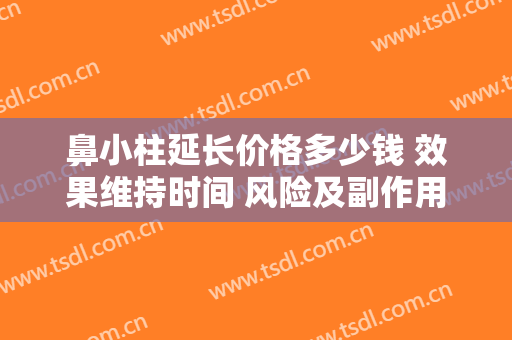 鼻小柱延长价格多少钱 效果维持时间 风险及副作用