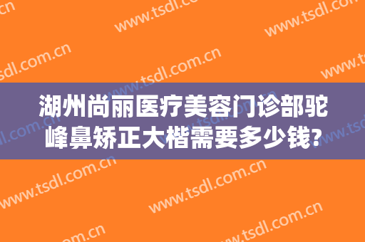 湖州尚丽医疗美容门诊部驼峰鼻矫正大楷需要多少钱?怎么样?(湖州尚丽整形美容医院)