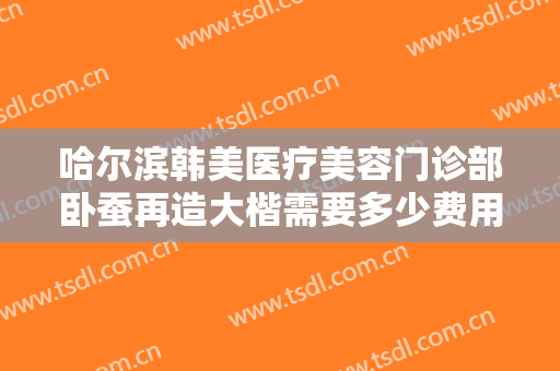 哈尔滨韩美医疗美容门诊部卧蚕再造大楷需要多少费用?贵不贵?