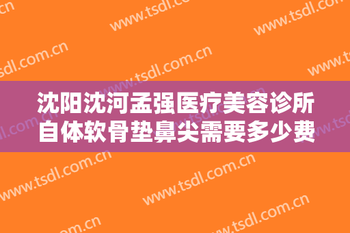 沈阳沈河孟强医疗美容诊所自体软骨垫鼻尖需要多少费用?效果怎么样?