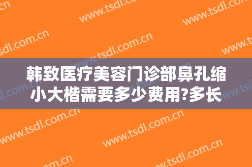 韩致医疗美容门诊部鼻孔缩小大楷需要多少费用?多长时间恢复?