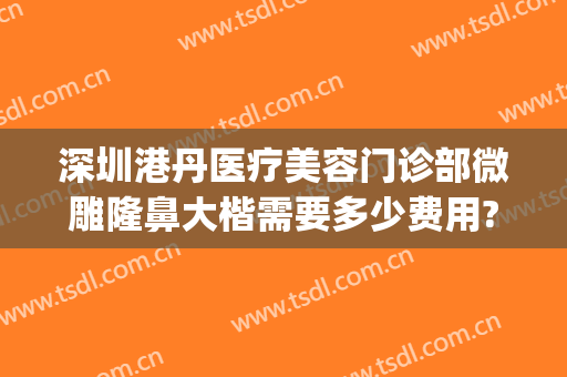 深圳港丹医疗美容门诊部微雕隆鼻大楷需要多少费用?可靠吗?(龙港整形美容医院)