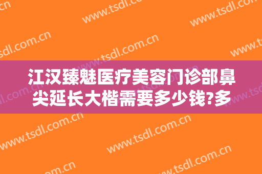 江汉臻魅医疗美容门诊部鼻尖延长大楷需要多少钱?多长时间恢复?