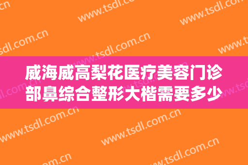 威海威高梨花医疗美容门诊部鼻综合整形大楷需要多少费用?贵不贵?(威海梨花整形是正规医院吗)