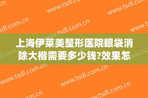 上海伊莱美整形医院眼袋消除大楷需要多少钱?效果怎么样?(上海哪家整形医院做眼袋好)