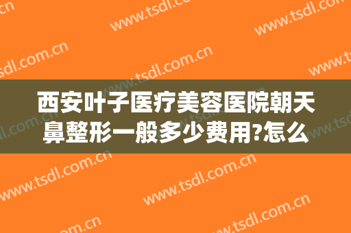西安叶子医疗美容医院朝天鼻整形一般多少费用?怎么样?(西安西京医院整形鼻子价格)
