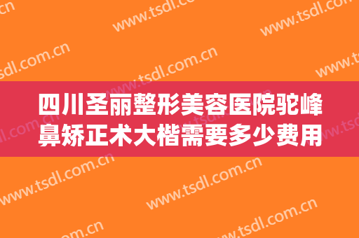四川圣丽整形美容医院驼峰鼻矫正术大楷需要多少费用?贵不贵?(整容驼峰鼻大概多少钱)
