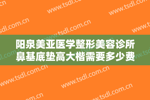 阳泉美亚医学整形美容诊所鼻基底垫高大楷需要多少费用?贵不贵?