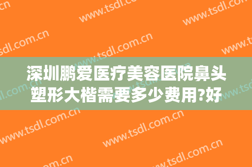 深圳鹏爱医疗美容医院鼻头塑形大楷需要多少费用?好不好?(鹏程整形医院做鼻子怎样)