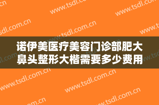 诺伊美医疗美容门诊部肥大鼻头整形大楷需要多少费用?多长时间恢复?