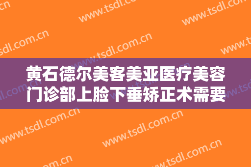 黄石德尔美客美亚医疗美容门诊部上脸下垂矫正术需要多少钱?贵不贵?