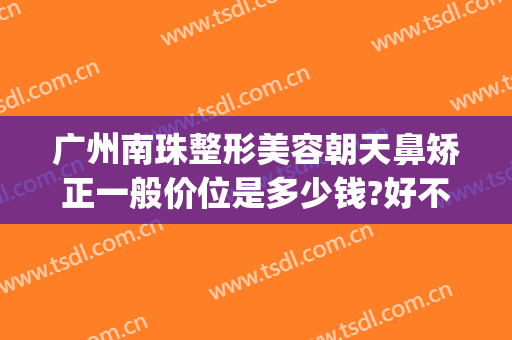 广州南珠整形美容朝天鼻矫正一般价位是多少钱?好不好?(广州整容鼻子价格)