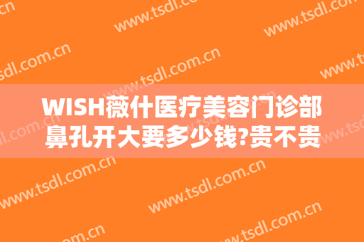 WISH薇什医疗美容门诊部鼻孔开大要多少钱?贵不贵?