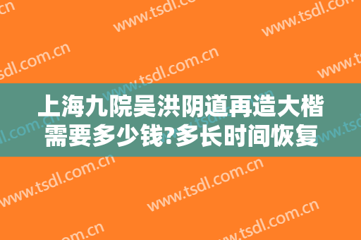上海九院吴洪阴道再造大楷需要多少钱?多长时间恢复?