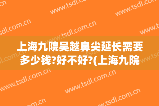 上海九院吴越鼻尖延长需要多少钱?好不好?(上海九院谁做鼻子做的好)