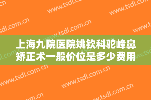 上海九院医院姚钦科驼峰鼻矫正术一般价位是多少费用?好不好?
