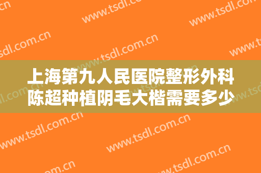 上海第九人民医院整形外科陈超种植阴毛大楷需要多少费用?好不好?
